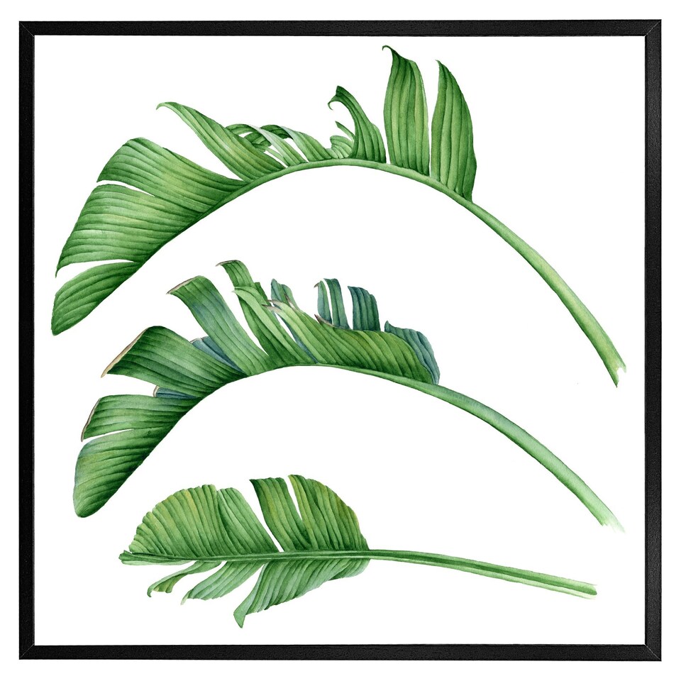 image 1 of Triple botanical (Picture Frame) Brown | S
