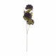 image 1 of Chocolate Chrysanthemum Artificial Flower - Plastic - L12 x W20 x H45 cm - Brown