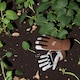 image 2 of Kent & Stowe Sure & Fit Multi Job Gardening Gloves Medium Premium Leather with Spandex and PVC Grip | Brown | Medium