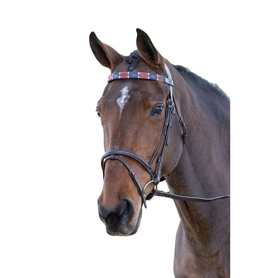 Blenheim Leather Polo Horse Browband - Red/Navy - Cob