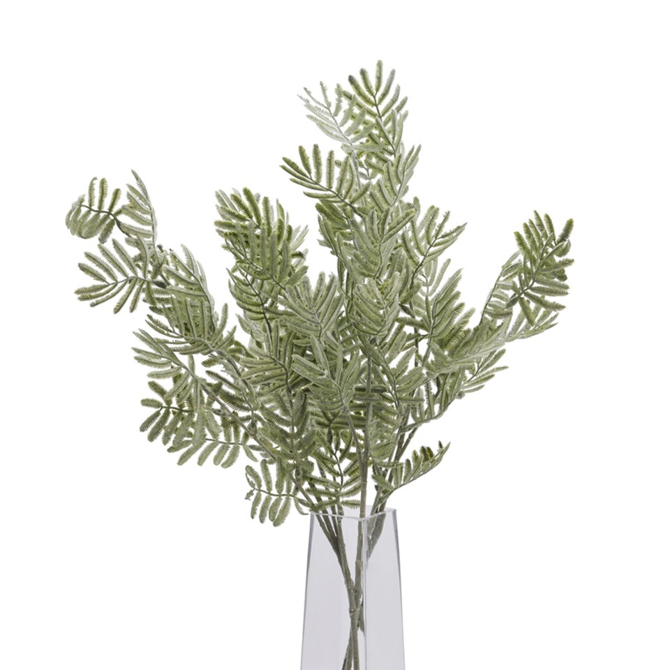 image 1 of Artificial Silver Wattle Leaf - Plastic - L22 x W22 x H73 cm - Green