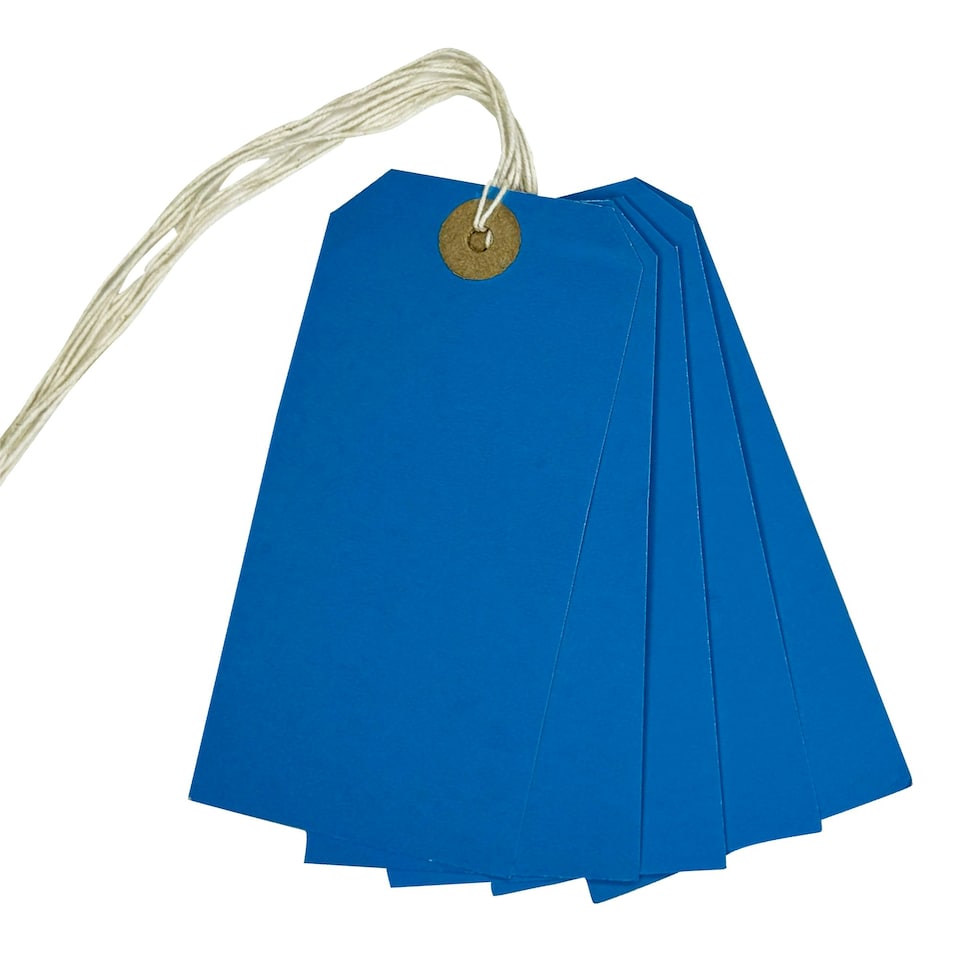 image 1 of Box of 1000 Blue Strung Tags 120mm x 60mm
