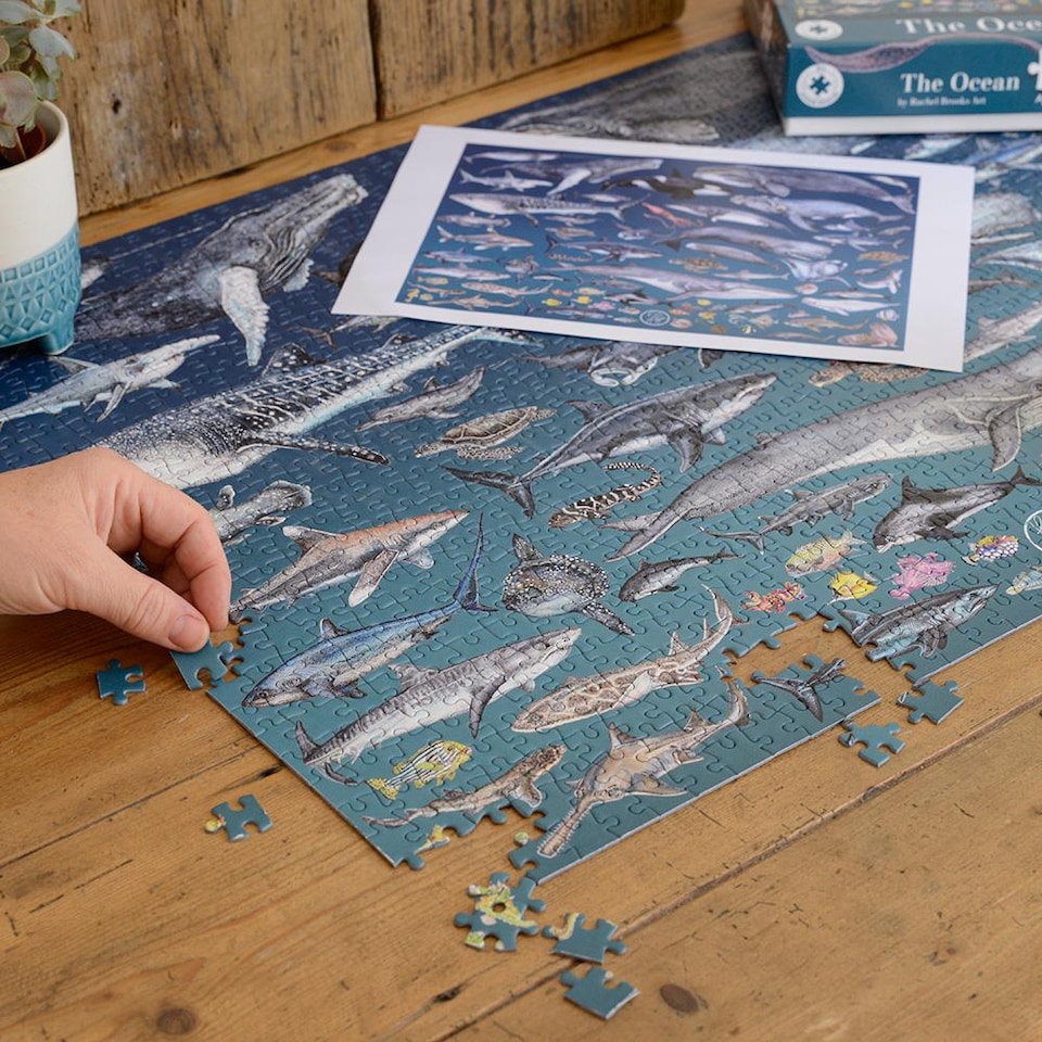 image 1 of The Ocean 1000 Piece Jigsaw Puzzle