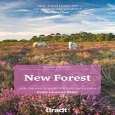 New Forest (slow Travel)