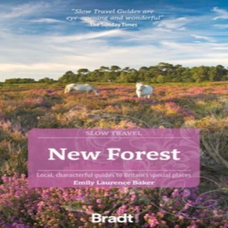 New Forest (slow Travel)