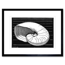 Julie De Graag Bold Black White Shell Sea Life Bathroom 9x7" Black Framed Wall Art Print