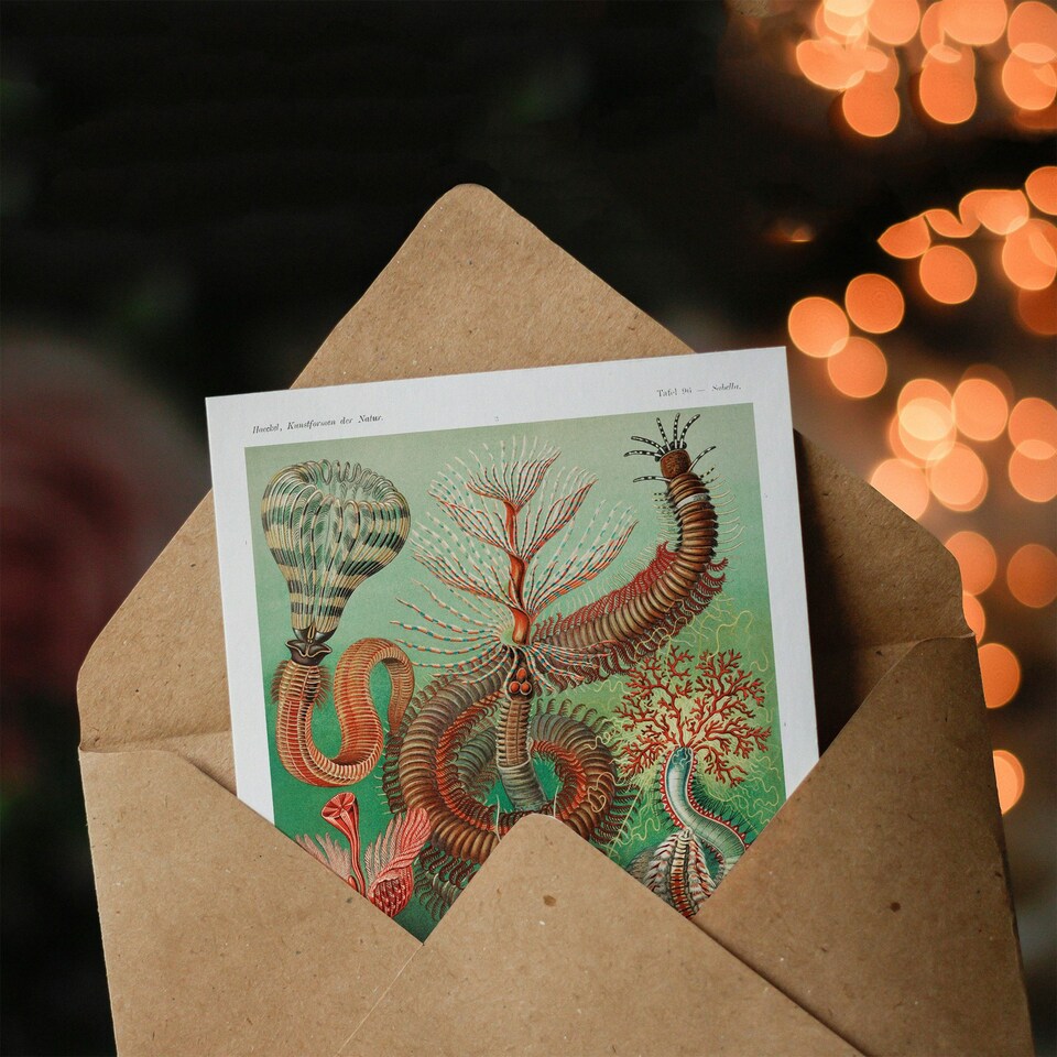 image 1 of Ernst Haeckel Art Card Chaetopoda Annelid Marine Worms