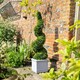 image 1 of Primrose Pair of 120cm Artificial Topiary Swirl Bush