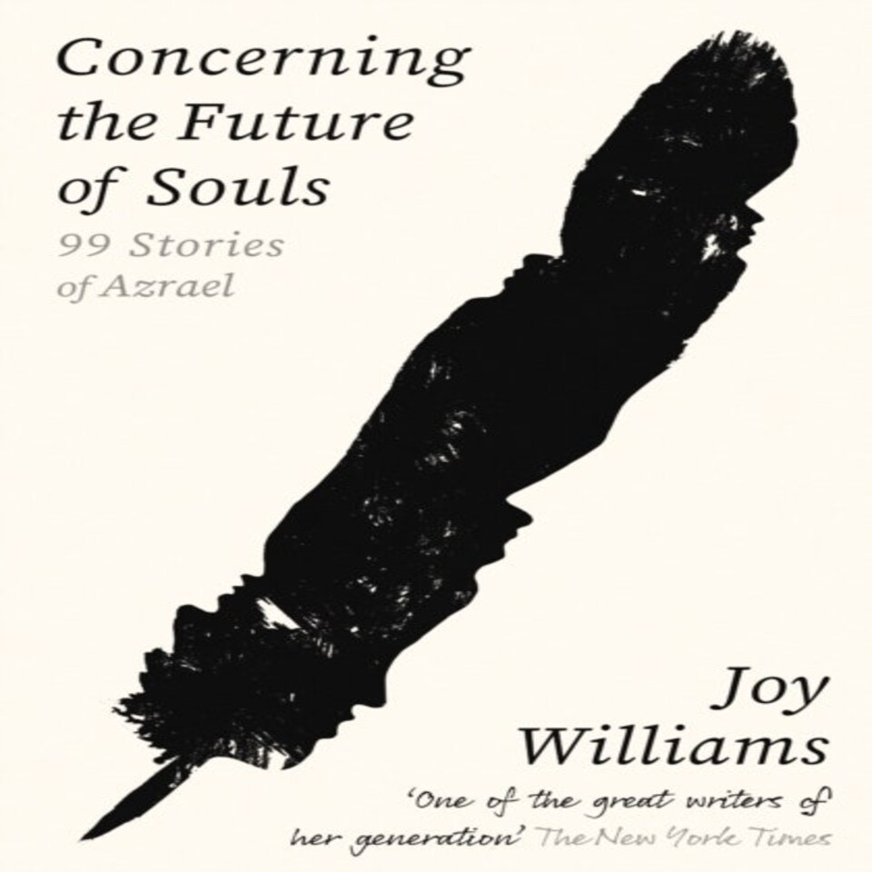Concerning The Future Of Souls