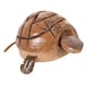 image 1 of Nodding Wooden Turtle