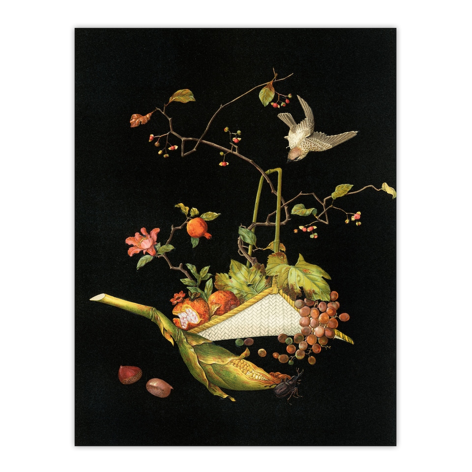 image 1 of Stylised Still Life with Bird Audsley Vintage Huge Wall Art Print 18X24 In