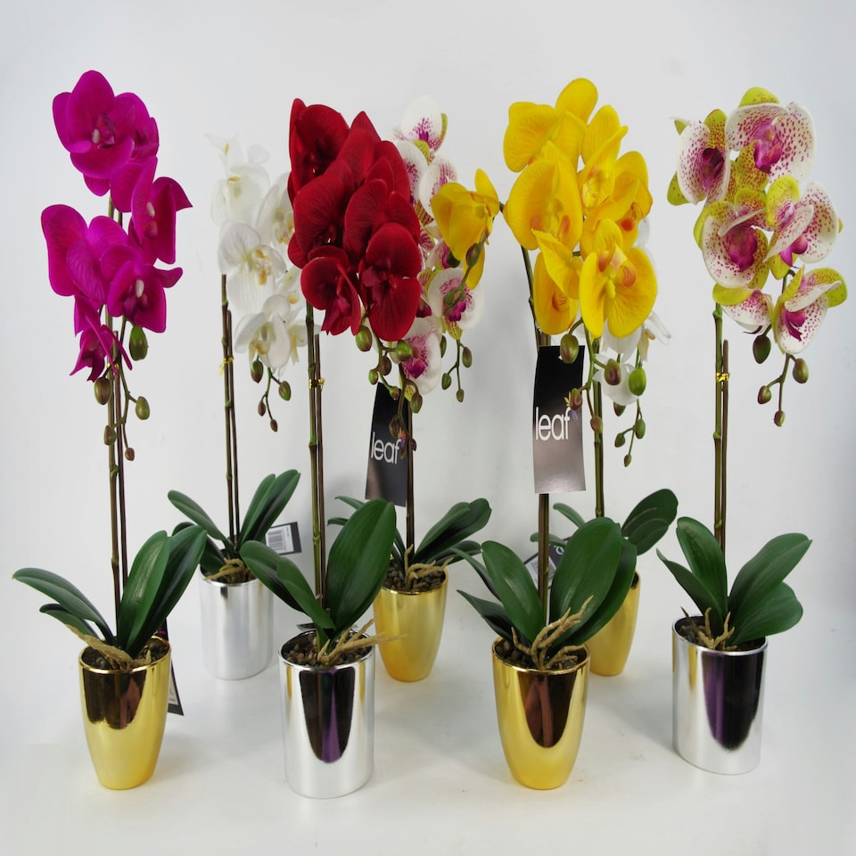 image 1 of Artificial Orchid Large White Silver 52cm