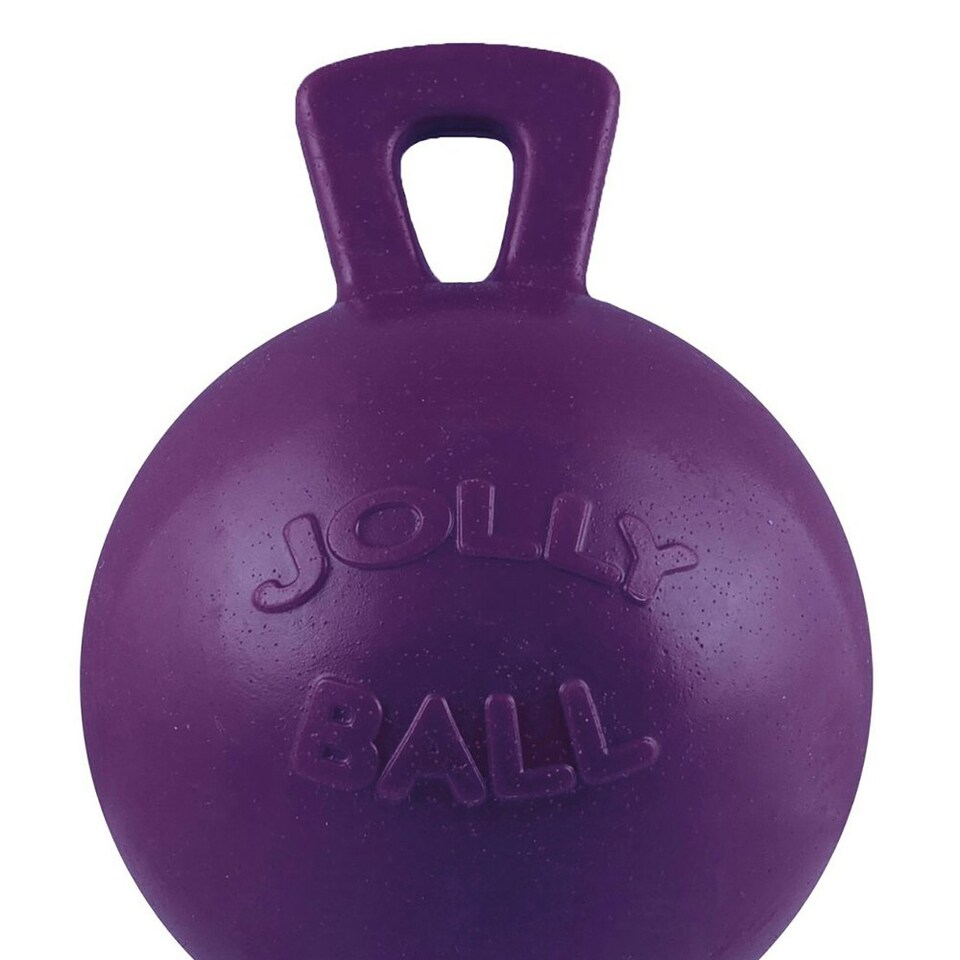 image 1 of Jolly Pets Tug-N-Toss Dog Retrieving Toy - Purple - 4.5in