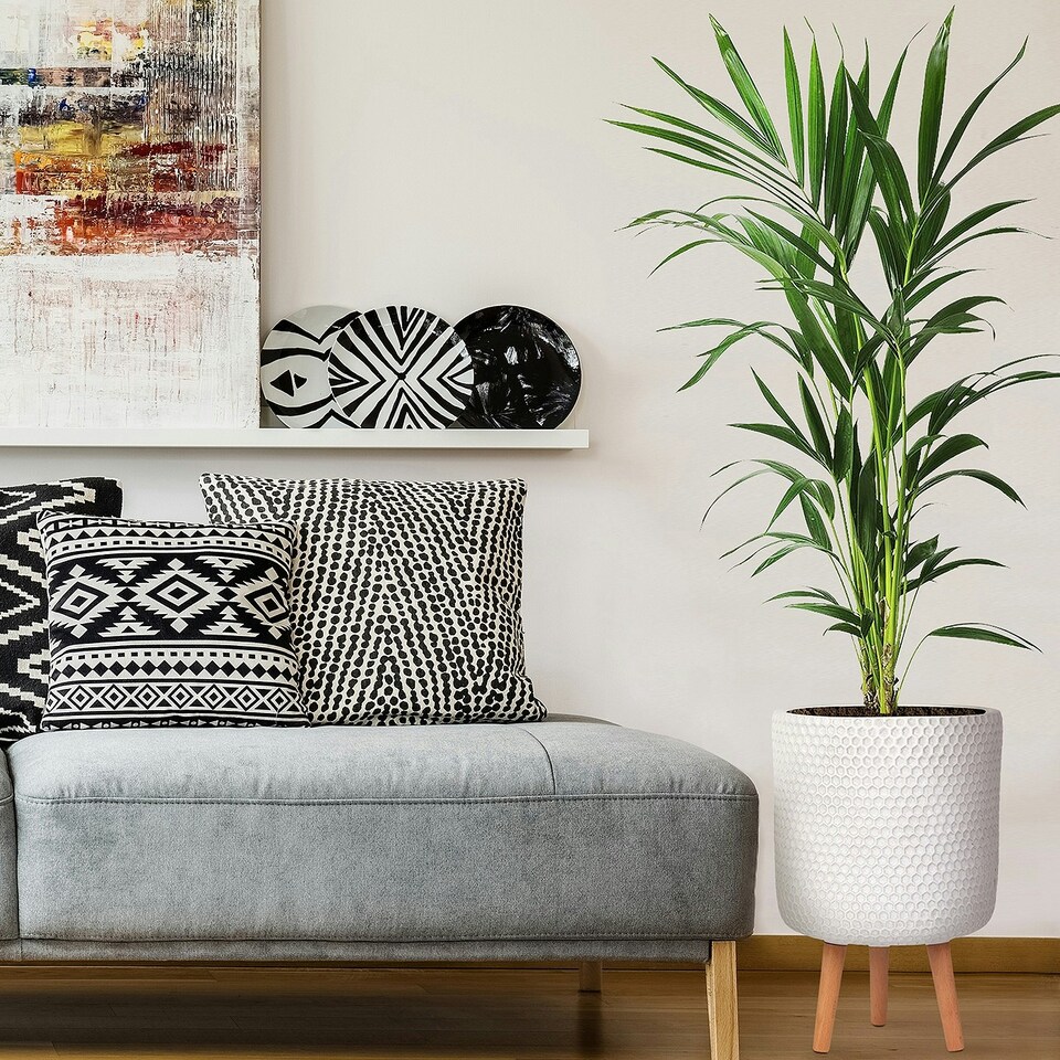 image 1 of Honeycomb Style White Cylinder Planter on Legs, Round Pot Plant Stand Indoor D31 H47 cm, 19.8 ltrs Cap.