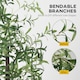 image 6 of HOMCOM 6ft Olive Tree Light with 300 Warm White LED Lights, Artificial Tree for Indoor, Party, Wedding, Christmas, Home Decoration, Green