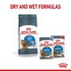 image 4 of Royal Canin Cat Light Weight Care 8KG