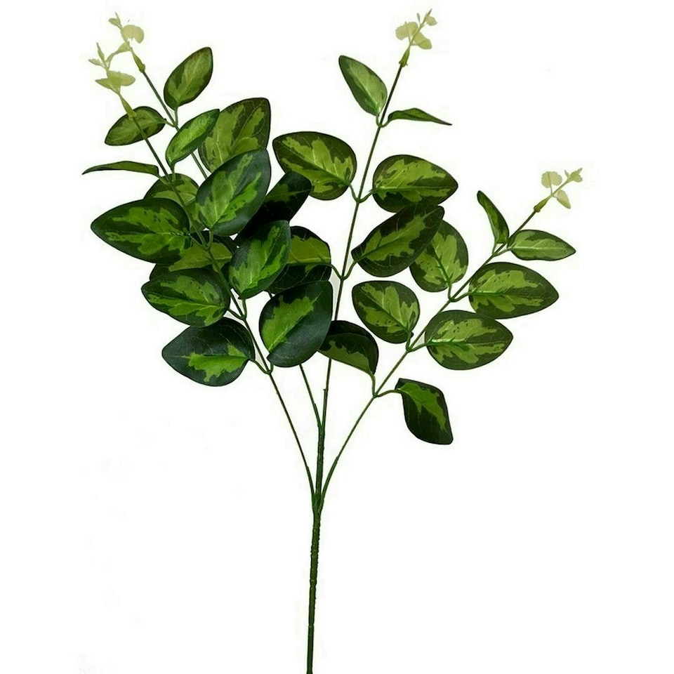 image 1 of Variegated Leaf Spray (Single Stem Flower) - Plastic - L5 x W20 x H62 cm - Green