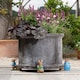 image 3 of Beatrix Potter Plant Pot Feet Full Colour Set 1 | Blue