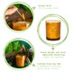 image 2 of Nicola Spring Soy Wax Scented Candles - 130g - Sandalwood & Jasmine - Pack of 3
