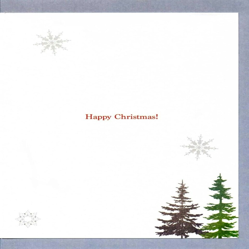 image 1 of Magnificent Stag Embellished Brother Large Christmas Card