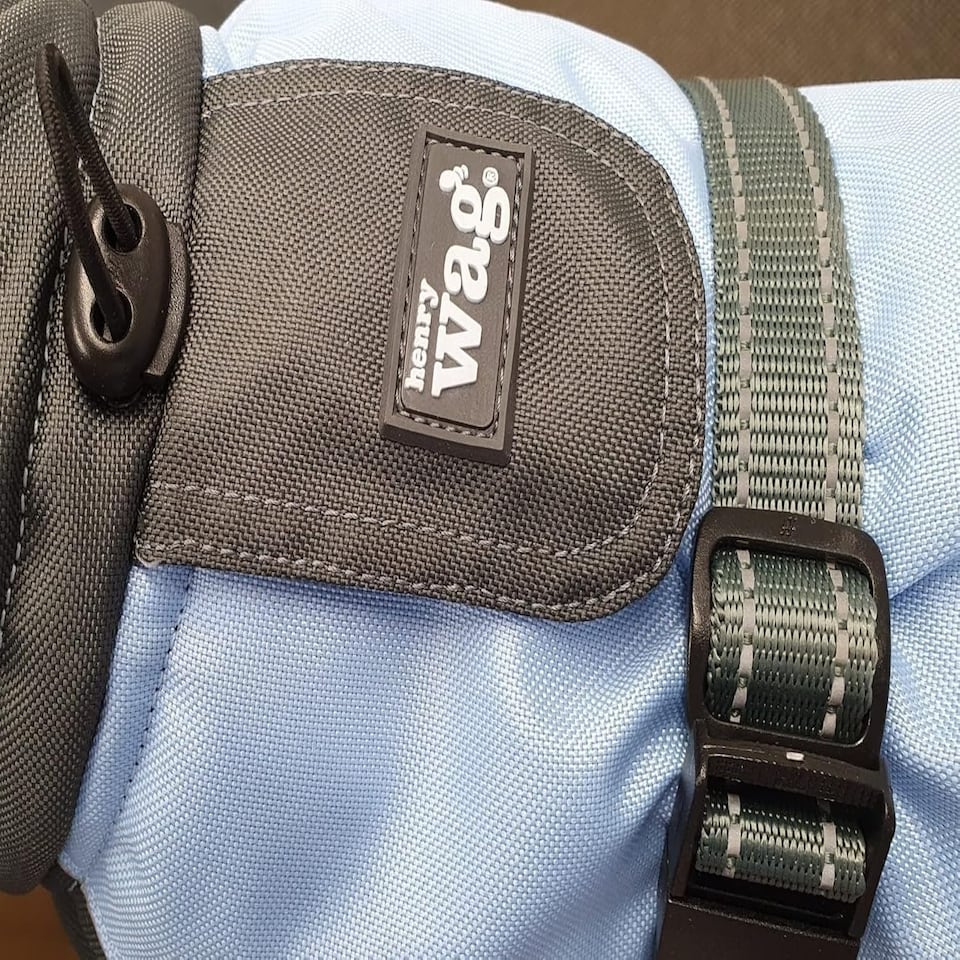 image 1 of Henry Wag Waterproof Dog Coat With Adjustable Collar (Medium 45cm)