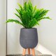 image 10 of Honeycomb Style Dark Grey Planter with Legs, Round Indoor Plant Pot Stand for Indoor Plants by Idealist Lite D21 H34 cm, 6L