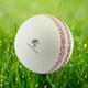 image 3 of CRICKET-GIFTS - Large Cricket Ball Squeezy Stress Ball | Relieve Tension & Improve Focus White