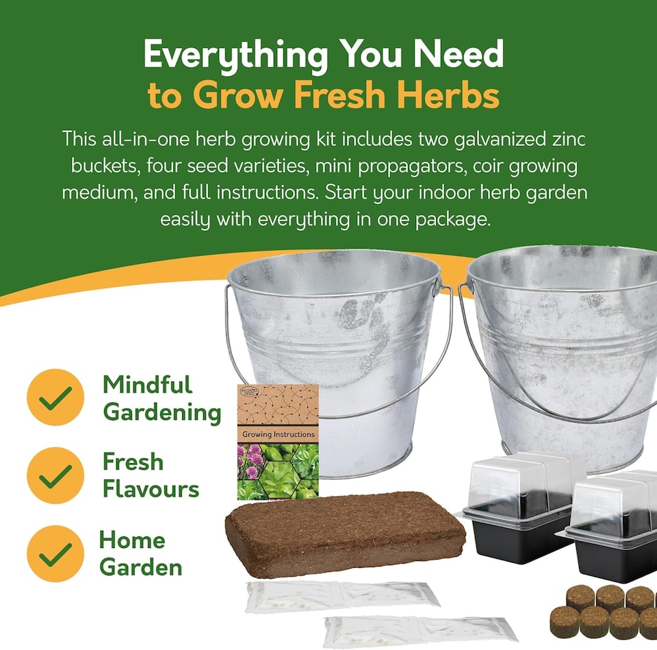 image 1 of Pronto Seed Grow Your Own Herb Kit with Galvanised Buckets - Herb Bucket Duo | Multi