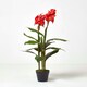 image 5 of Homescapes Artificial Canna Lily Plant, 90 cm Tall