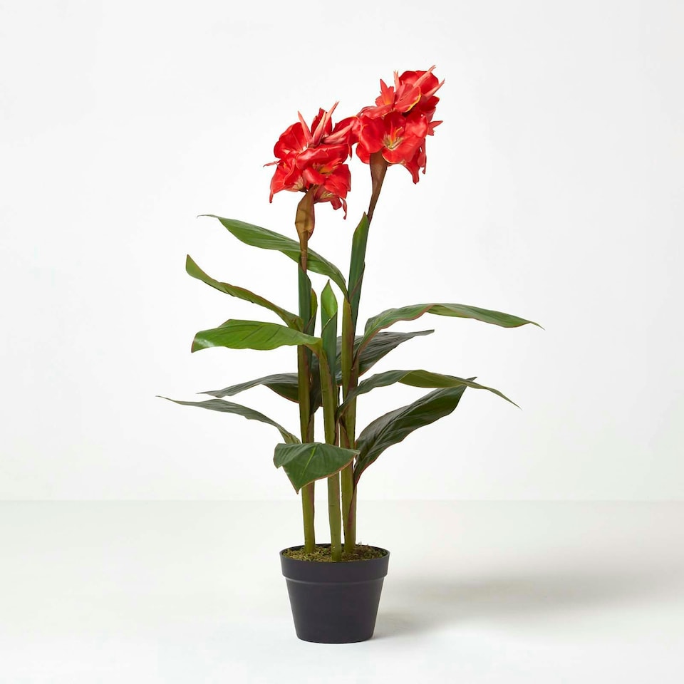 image 1 of Homescapes Artificial Canna Lily Plant, 90 cm Tall