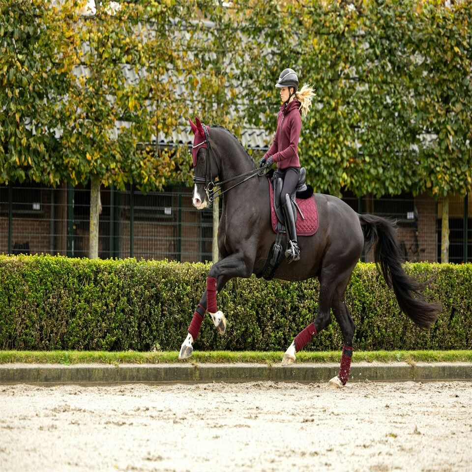 image 1 of LeMieux Crystal Suede Dressage Pad Brown | Small/Medium