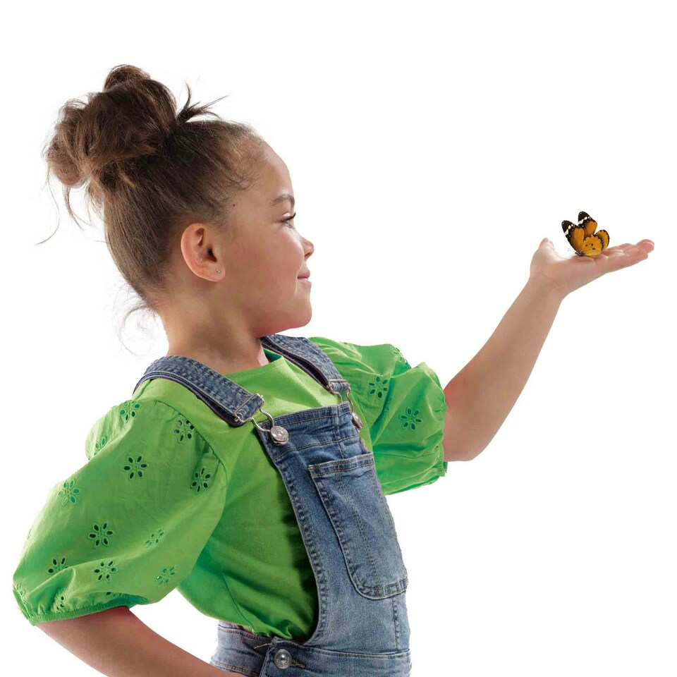 image 1 of SES Creative Butterfly Hotel