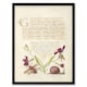image 1 of Model Book of Calligraphy Framed Wall Art Gillyflower Fly Mayfly and Snail