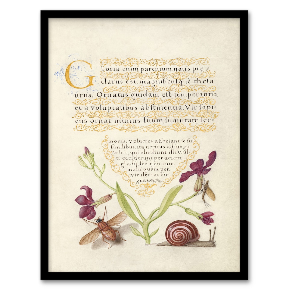 image 1 of Model Book of Calligraphy Framed Wall Art Gillyflower Fly Mayfly and Snail