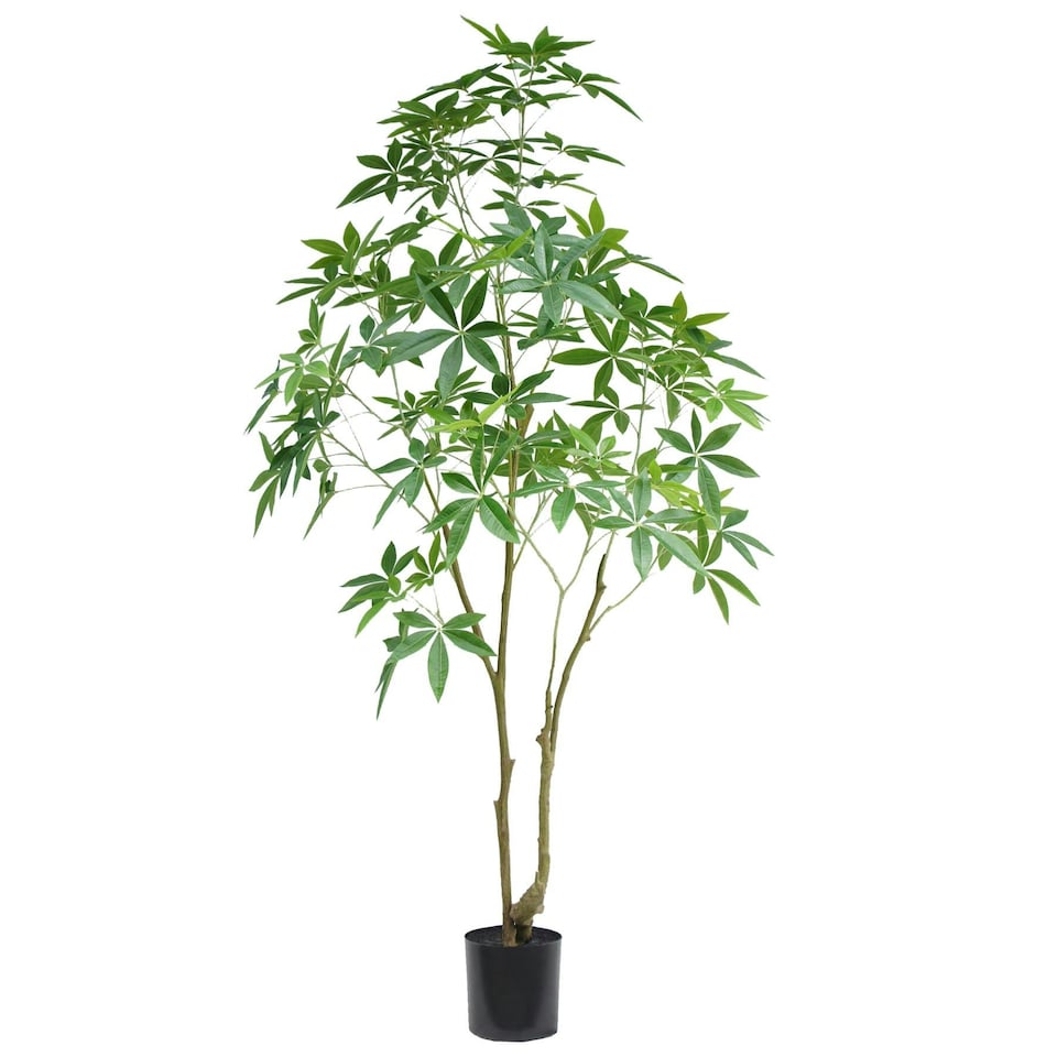 image 1 of 210cm Artificial Money Tree Pachira Realistic Faux Tree