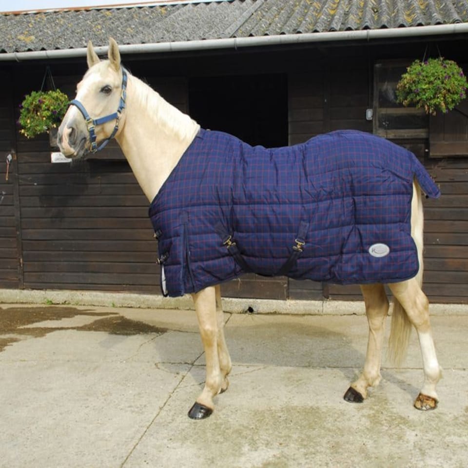 image 1 of Rhinegold Orlando Quilt Red | Colour: Navy/Red Check
Size: 5ft 0