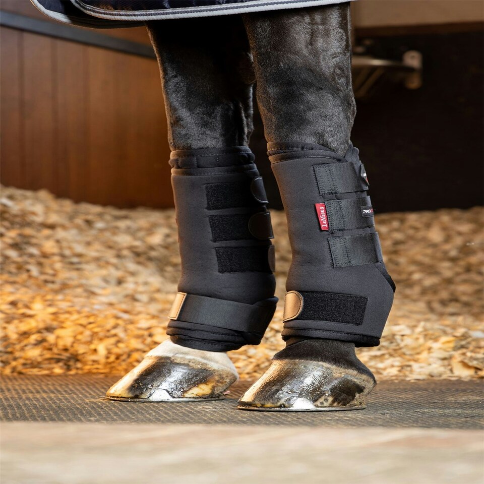 image 1 of LeMieux Stable Boots Black | X-Large