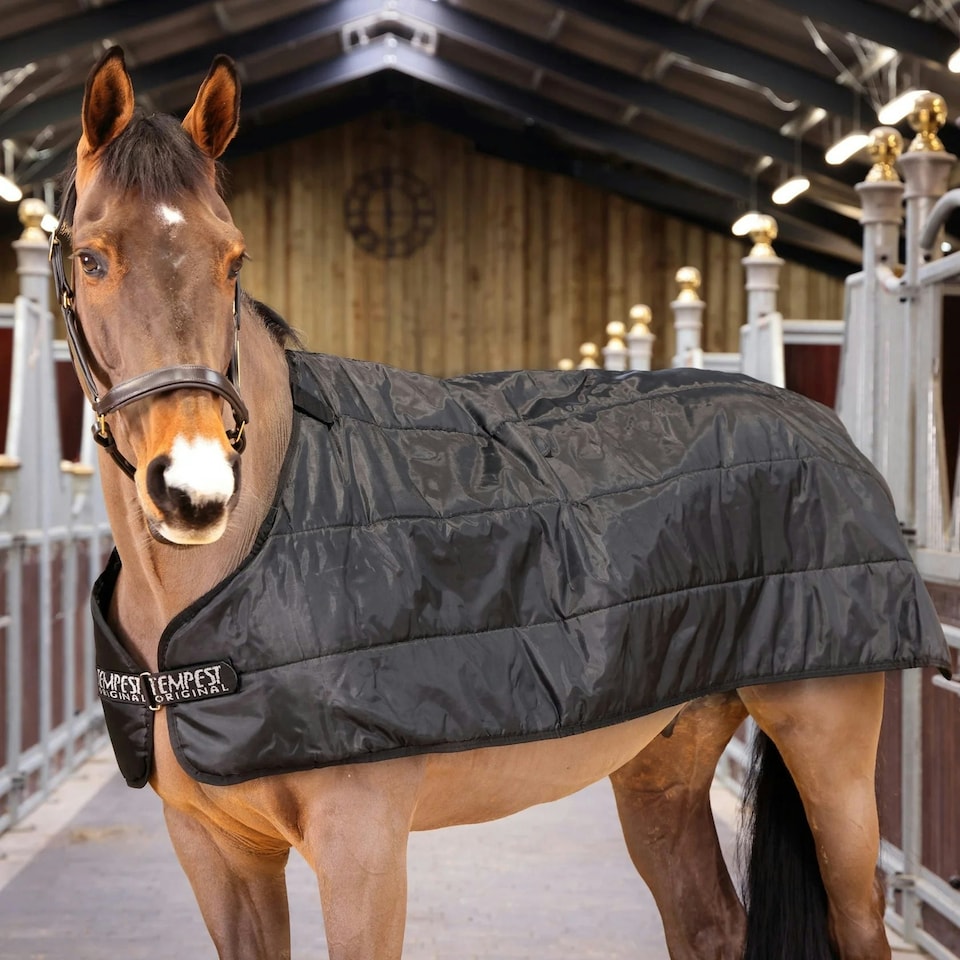 image 1 of Shires Warmarug Thermal System 100 Black | Size: 6ft 3
Colour: Black