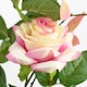 image 4 of 50cm Artificial Pink Rose Plant