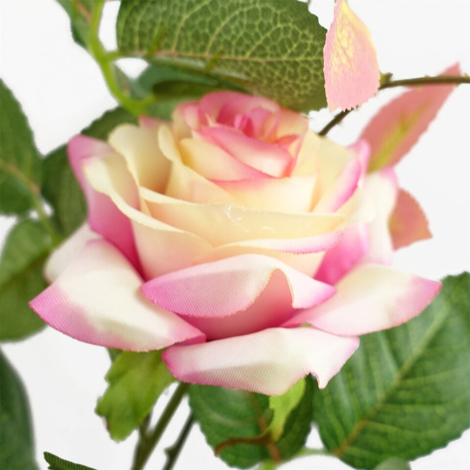 image 1 of 50cm Artificial Pink Rose Plant