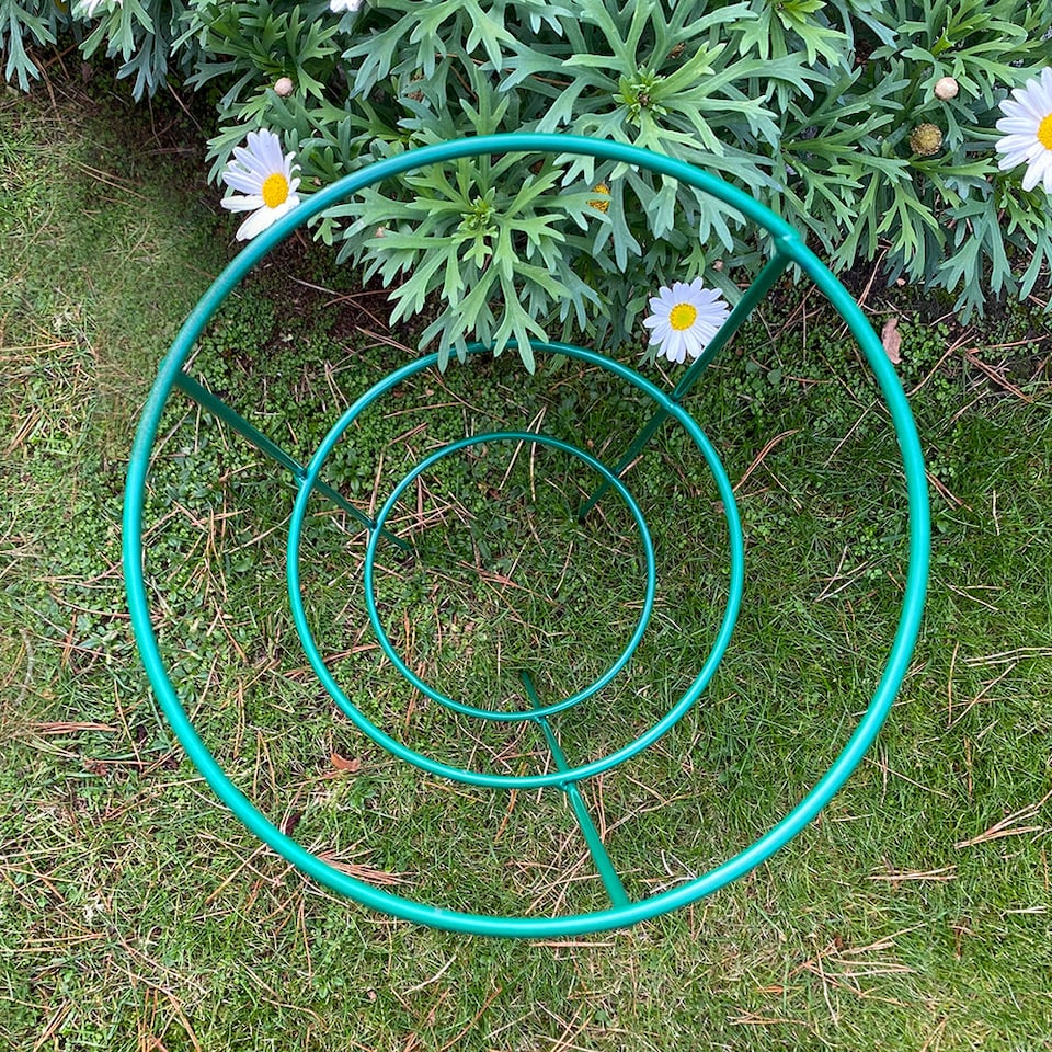 image 1 of Conical Metal Garden Herbaceous Plant Support Rings (48cm) - Pack of 5