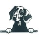image 1 of Black Metal Peeking Dachshund Silhouette with Fixing Plate Garden Ornament Gift