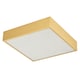 image 2 of Modern 25w LED Flush Square Ceiling Light in Brushed Gold with Opal Diffuser | Gold