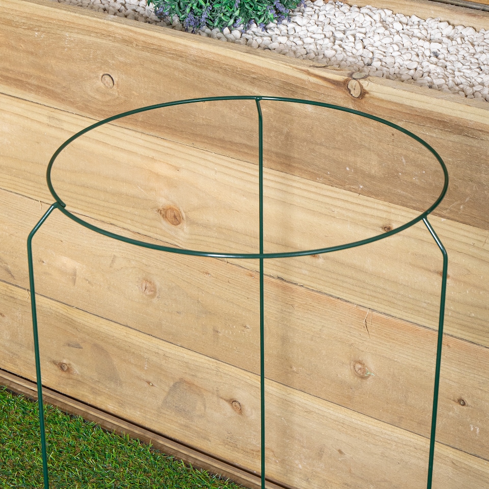 image 1 of Pack of 3 Tom Chambers Urban Metal Herbaceous Garden Plant Support Ring Large 40cm x 60cm