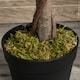 image 8 of Outsunny Set Of 2 120cm Artificial Bay Laurel Topiary Trees w/ Pot Fake