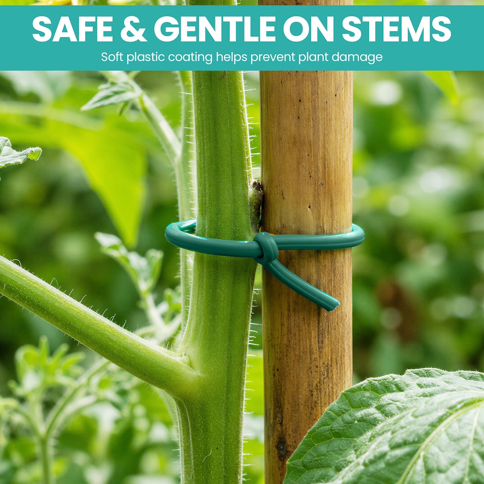 image 1 of 2.5mm Green Garden Soft Tie, Soft Twist Ties - 10 Metres