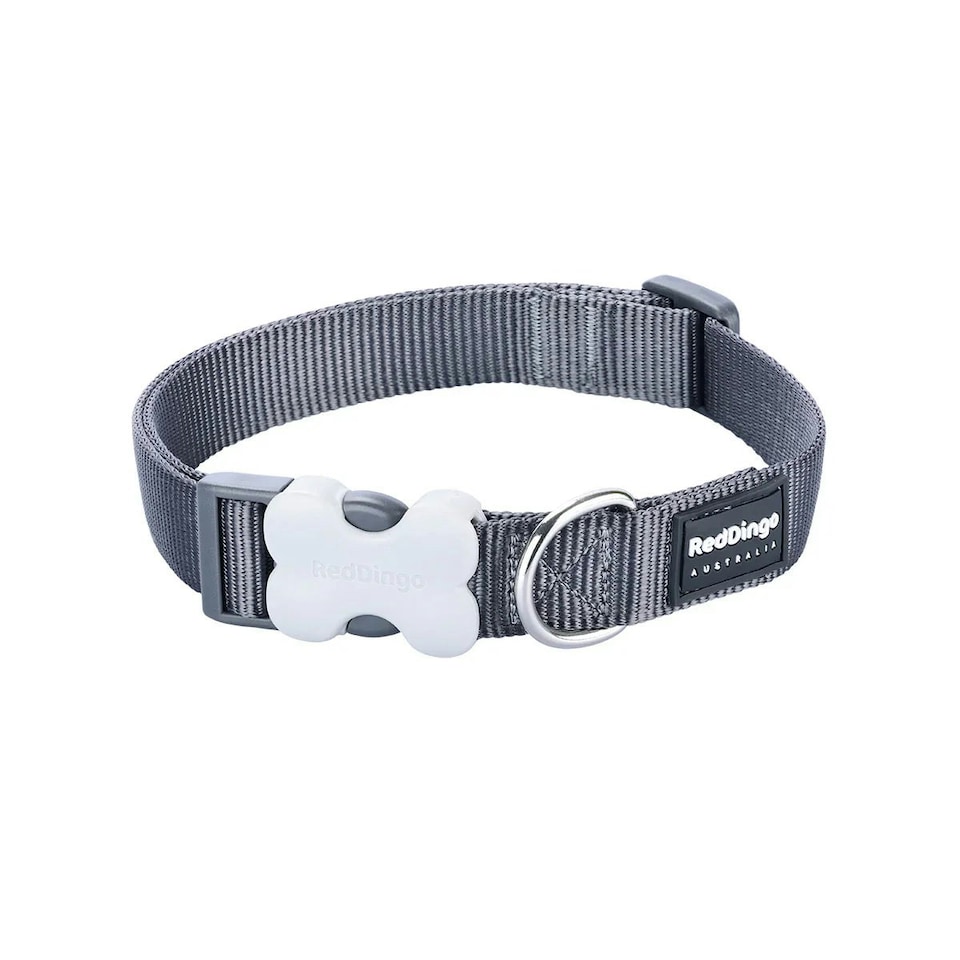 image 1 of Dog Collar Classic Cool Grey Grey | S