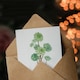 image 3 of Pierre-Joseph Redouté Art Card Tree Houseleek Succulent