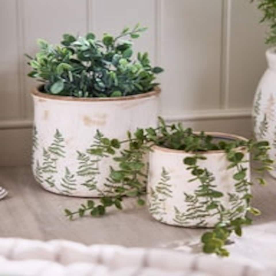 image 1 of Varen Set of 2 Fern Plant Pots White