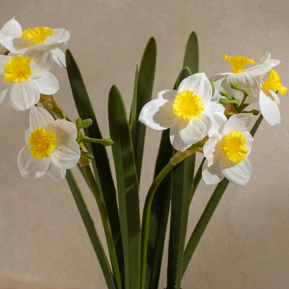 image 1 of 42Cm Daffodil Spray In Ceramic Pot Yellow | One Size